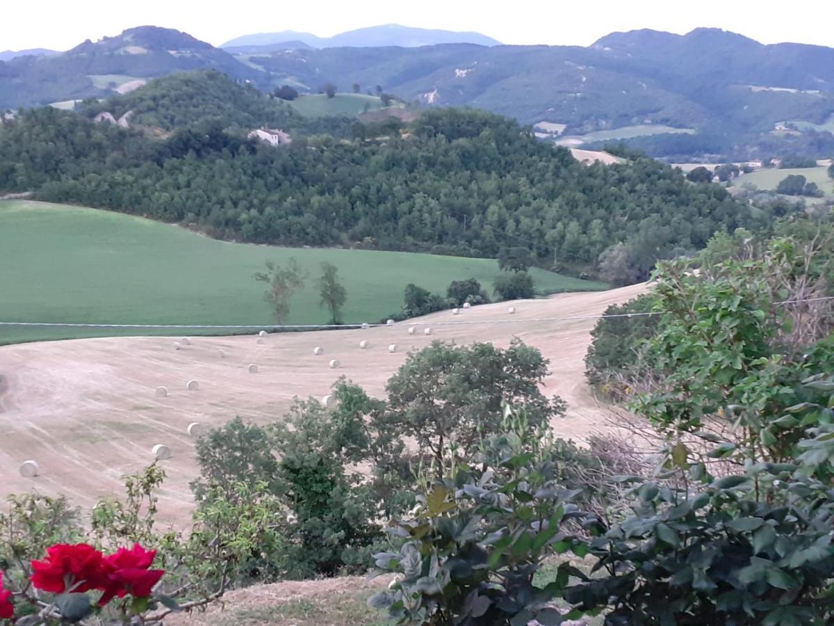 Ca' Gulino - Urbino - Villa Con Minipiscina In Borgo Antico Eksteriør billede