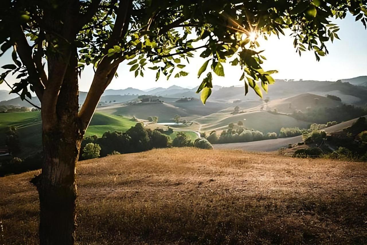 Ca' Gulino - Urbino - Villa Con Minipiscina In Borgo Antico Eksteriør billede