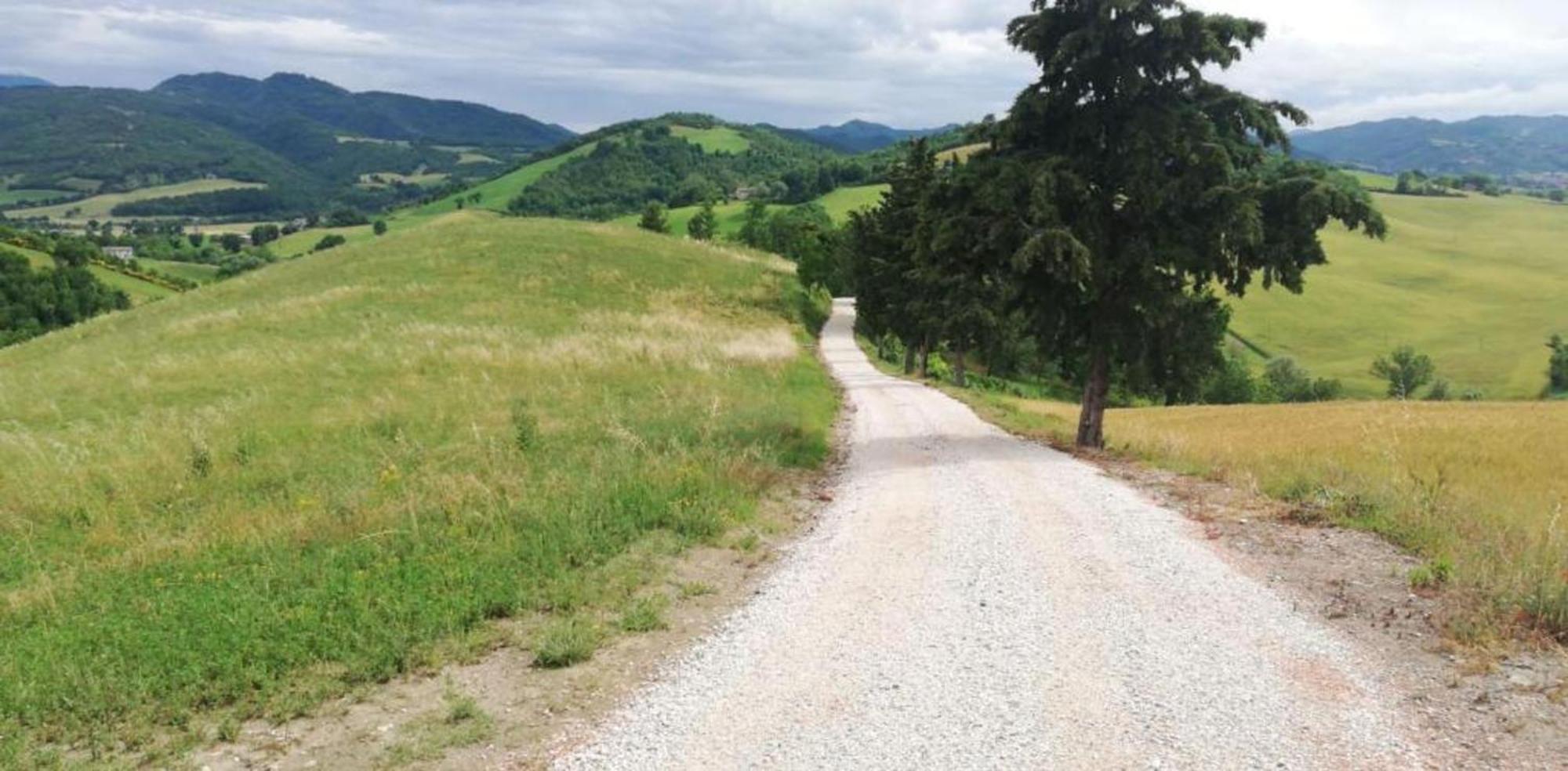 Ca' Gulino - Urbino - Villa Con Minipiscina In Borgo Antico Eksteriør billede