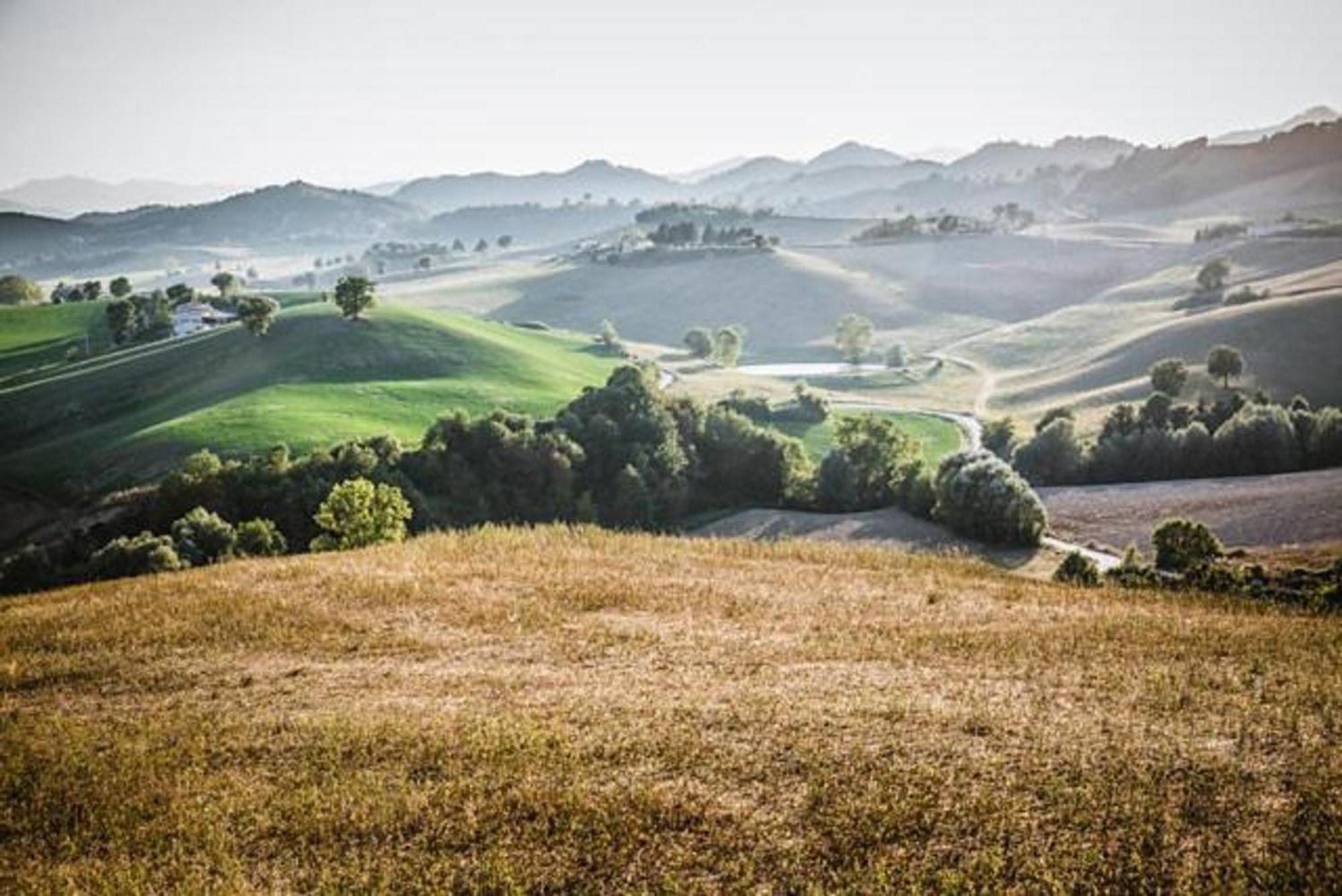 Ca' Gulino - Urbino - Villa Con Minipiscina In Borgo Antico Eksteriør billede