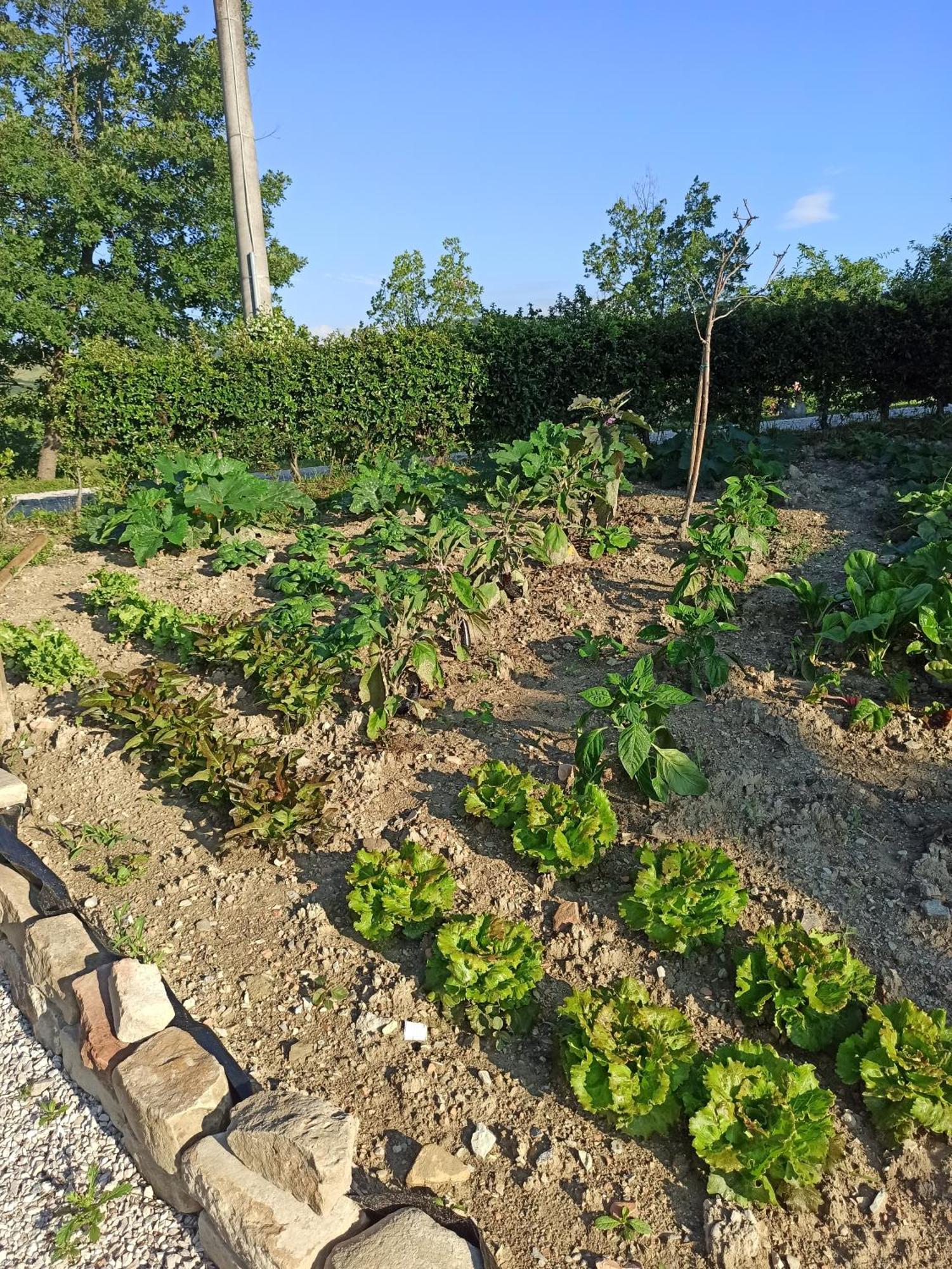 Ca' Gulino - Urbino - Villa Con Minipiscina In Borgo Antico Eksteriør billede